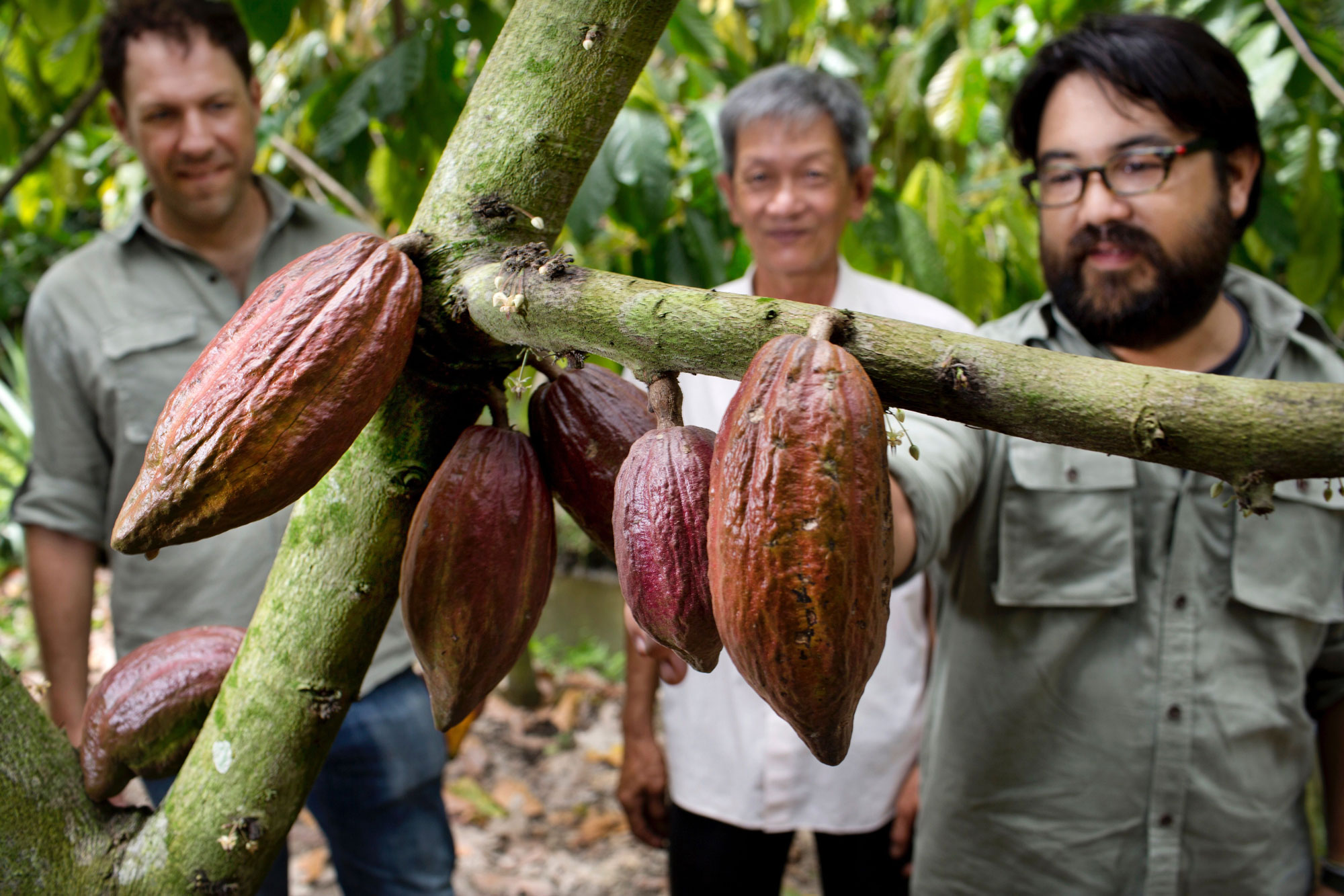 sam and vincent visit mr lau's farm in tien giang province marou chocolate